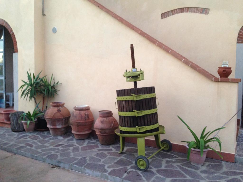 Podere Di Valli Santa Maria a Monte Zewnętrze zdjęcie